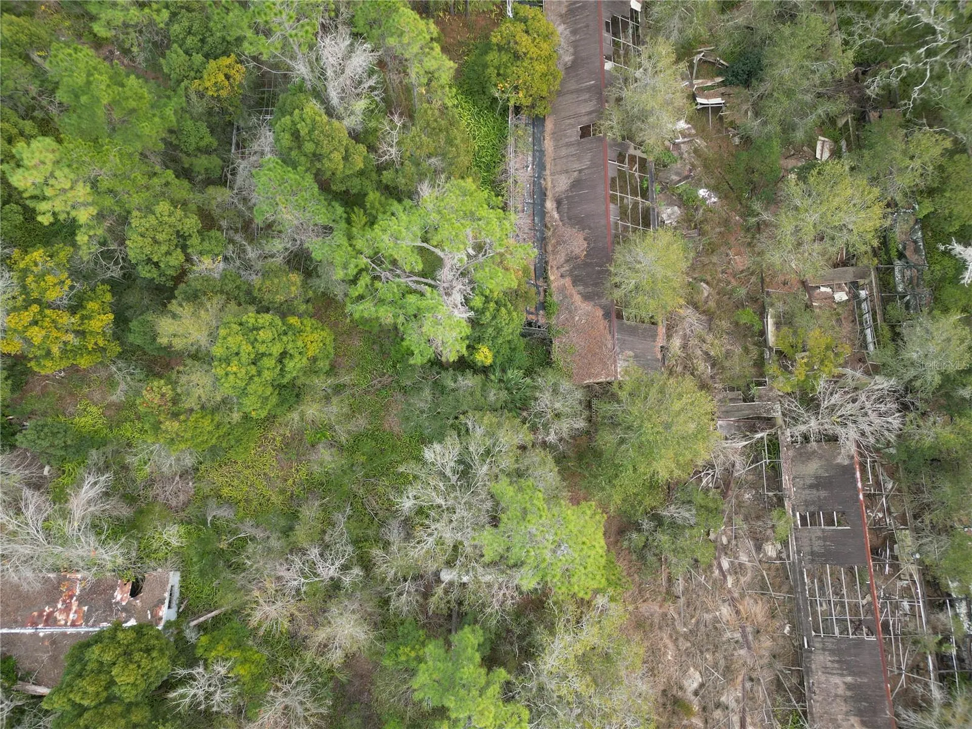 36242 County Road 439 Eustis FL 32736