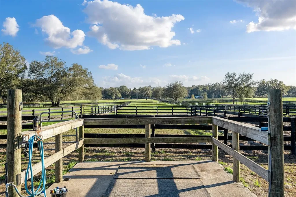 815 SE 145th Street Summerfield FL 34491