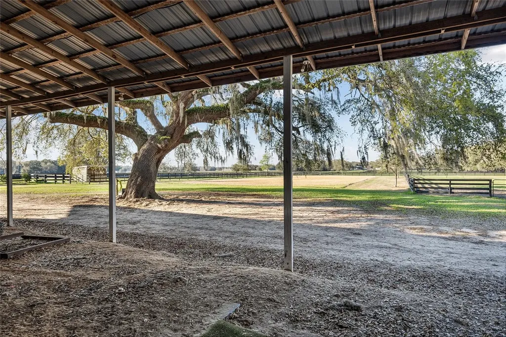 815 SE 145th Street Summerfield FL 34491