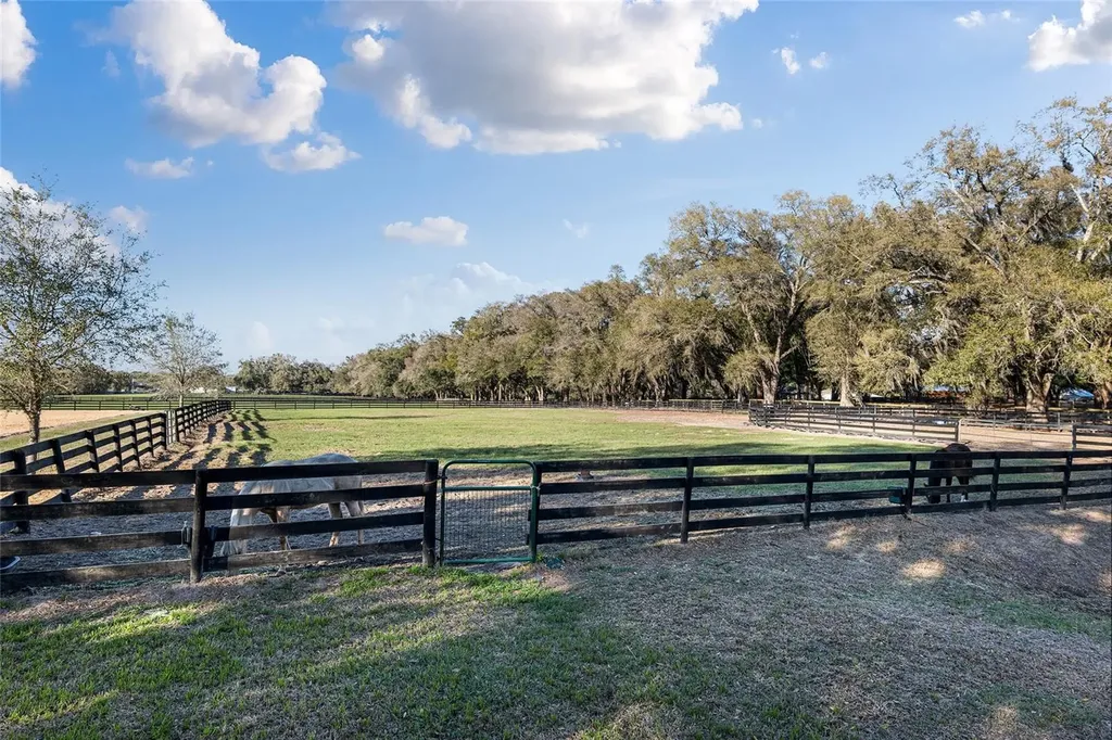 815 SE 145th Street Summerfield FL 34491