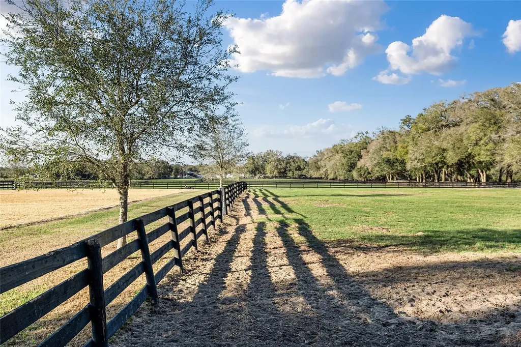 815 SE 145th Street Summerfield FL 34491