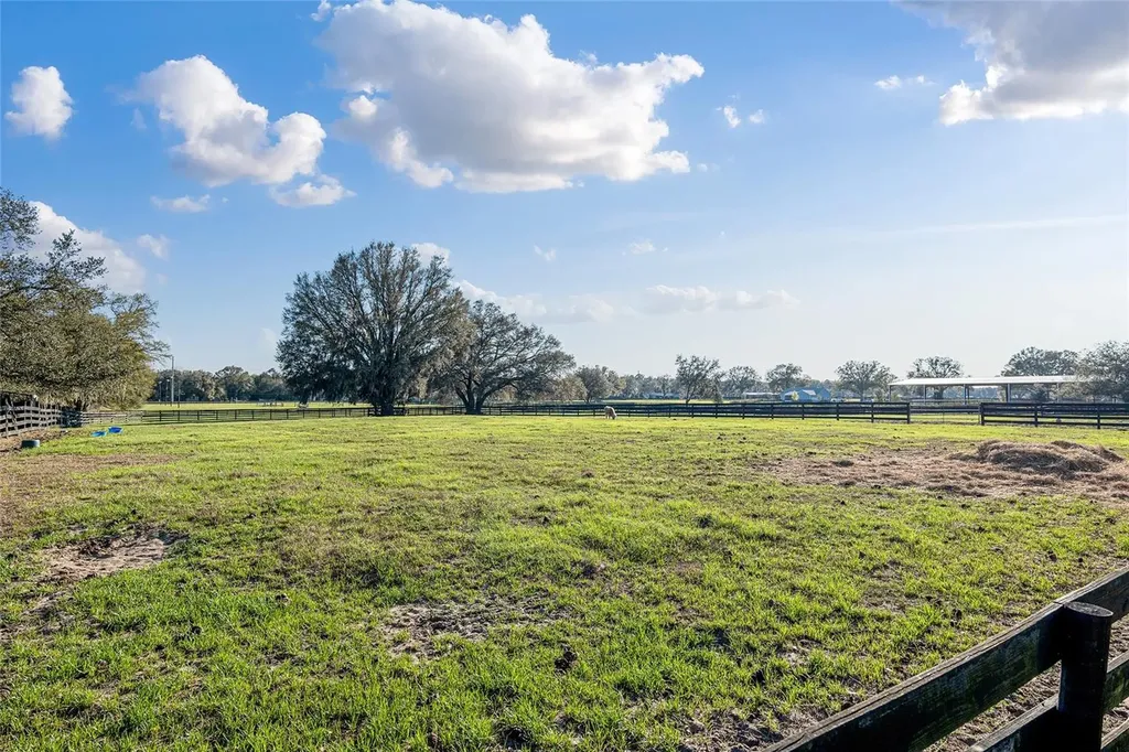 815 SE 145th Street Summerfield FL 34491