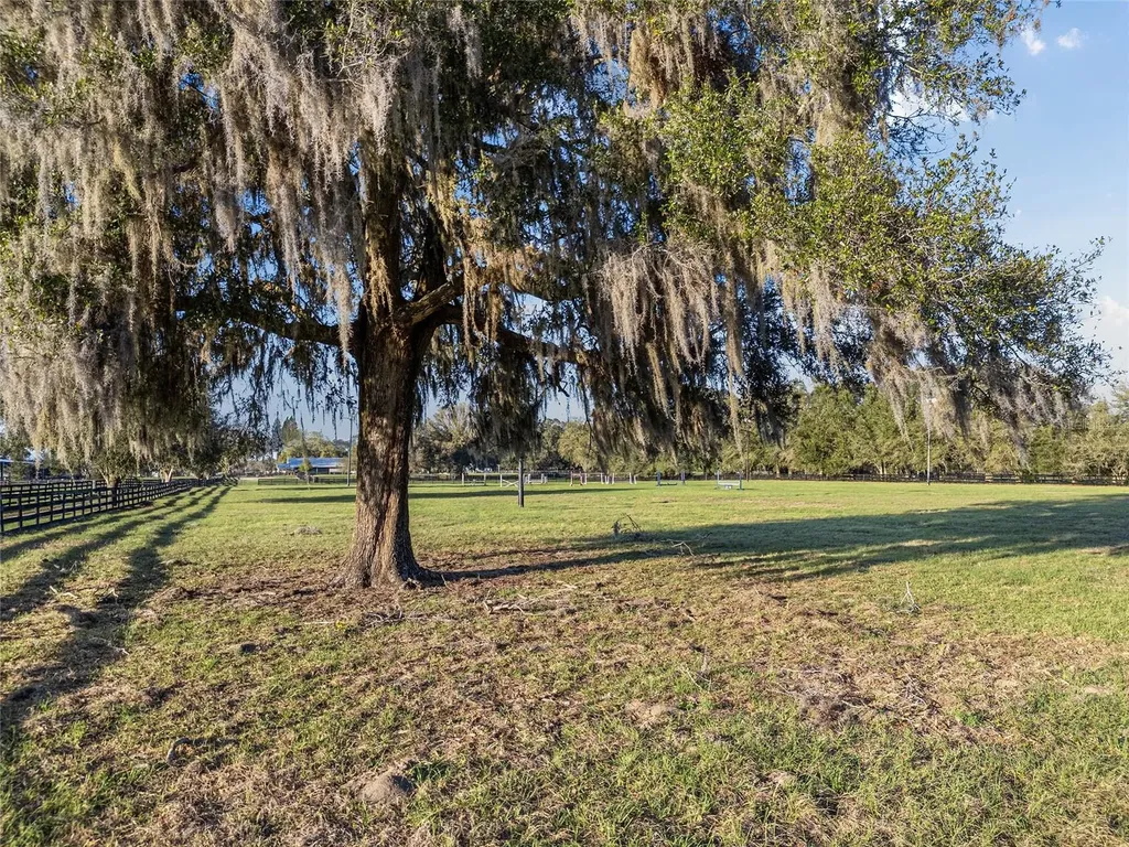 815 SE 145th Street Summerfield FL 34491