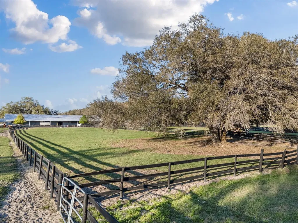 815 SE 145th Street Summerfield FL 34491
