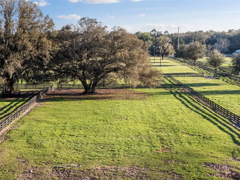 815 SE 145th Street Summerfield FL 34491