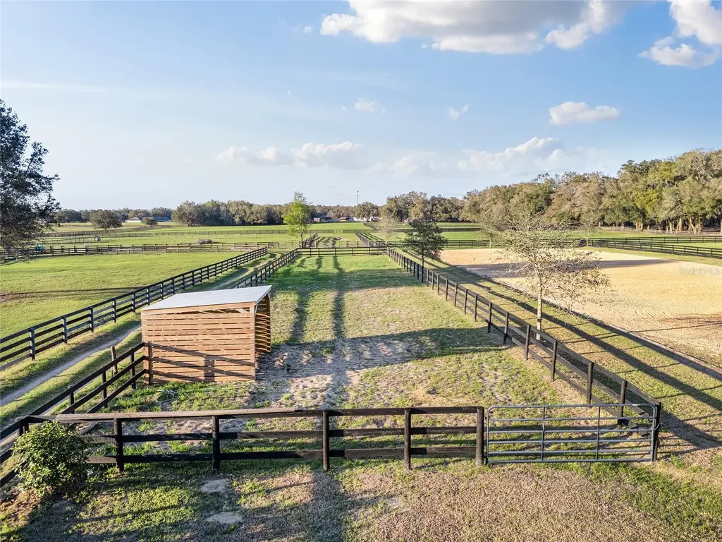 815 SE 145th Street Summerfield FL 34491