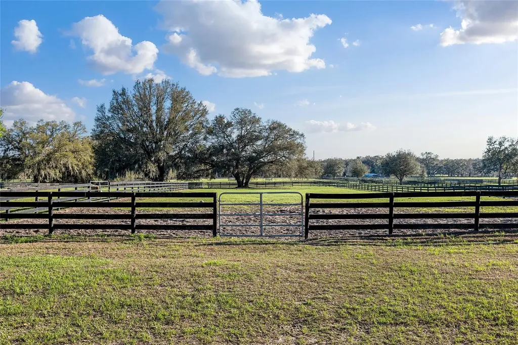815 SE 145th Street Summerfield FL 34491