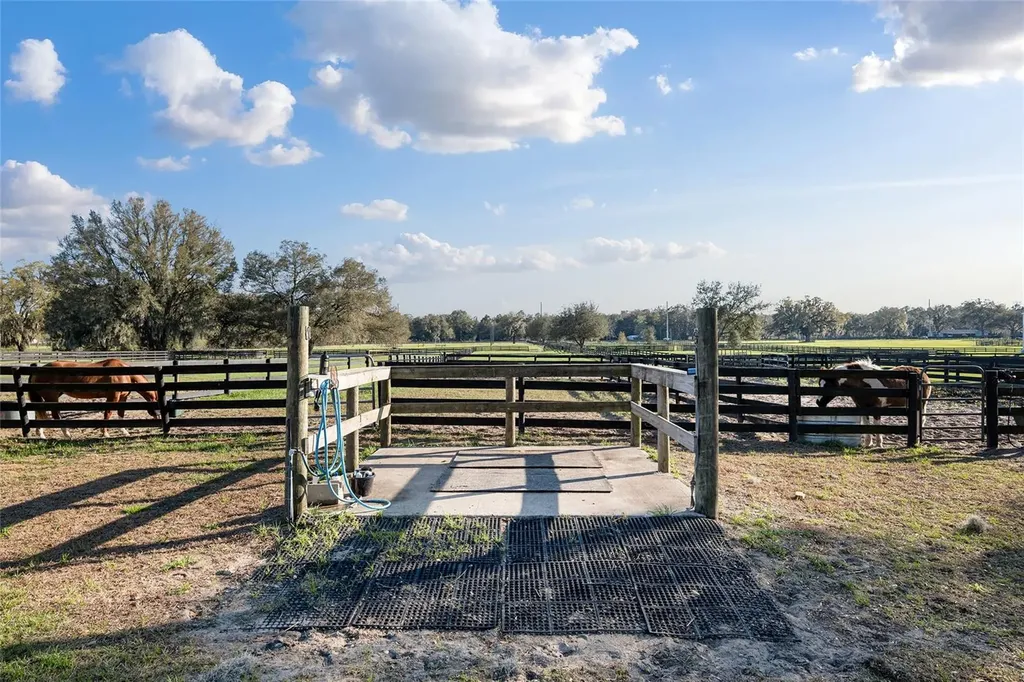 815 SE 145th Street Summerfield FL 34491