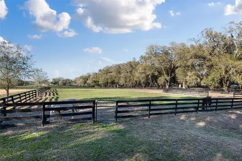 815 SE 145th Street Summerfield FL 34491