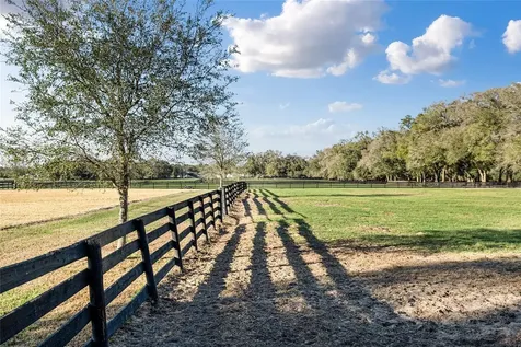 815 SE 145th Street Summerfield FL 34491