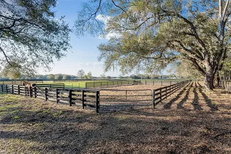 815 SE 145th Street Summerfield FL 34491