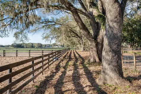 815 SE 145th Street Summerfield FL 34491