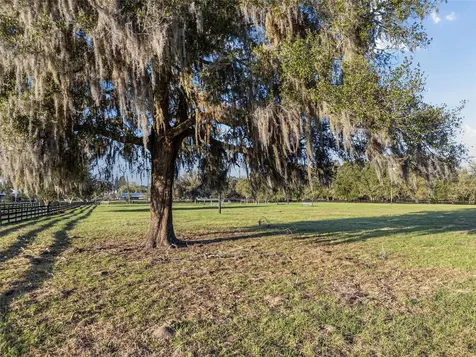 815 SE 145th Street Summerfield FL 34491