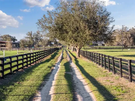 815 SE 145th Street Summerfield FL 34491