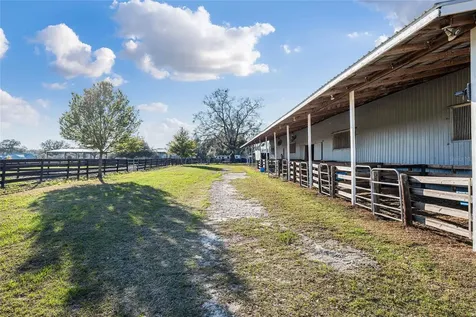 815 SE 145th Street Summerfield FL 34491