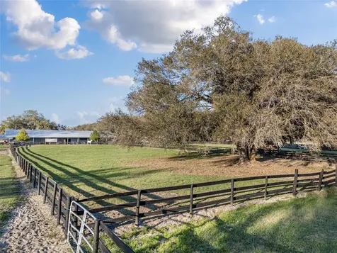 815 SE 145th Street Summerfield FL 34491