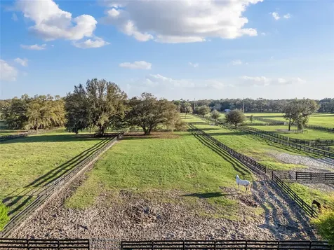 815 SE 145th Street Summerfield FL 34491