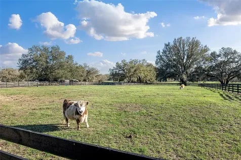 815 SE 145th Street Summerfield FL 34491