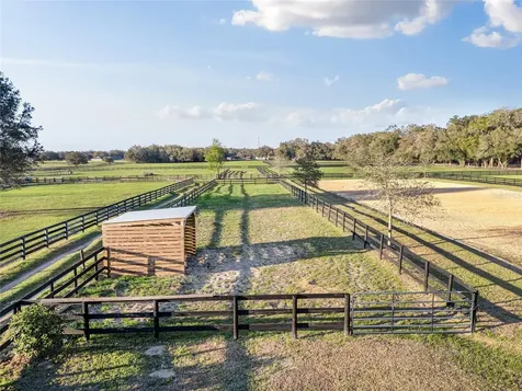 815 SE 145th Street Summerfield FL 34491