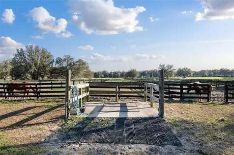 815 SE 145th Street Summerfield FL 34491