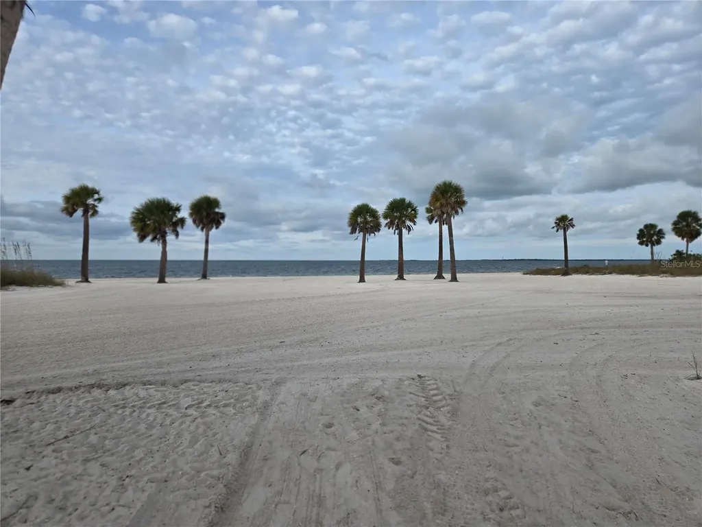 747 Cajeput Loop Tarpon Springs FL 34689