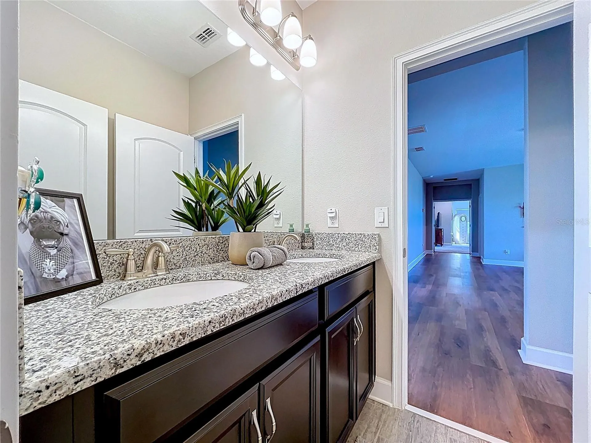 747 Cajeput Loop Tarpon Springs FL 34689