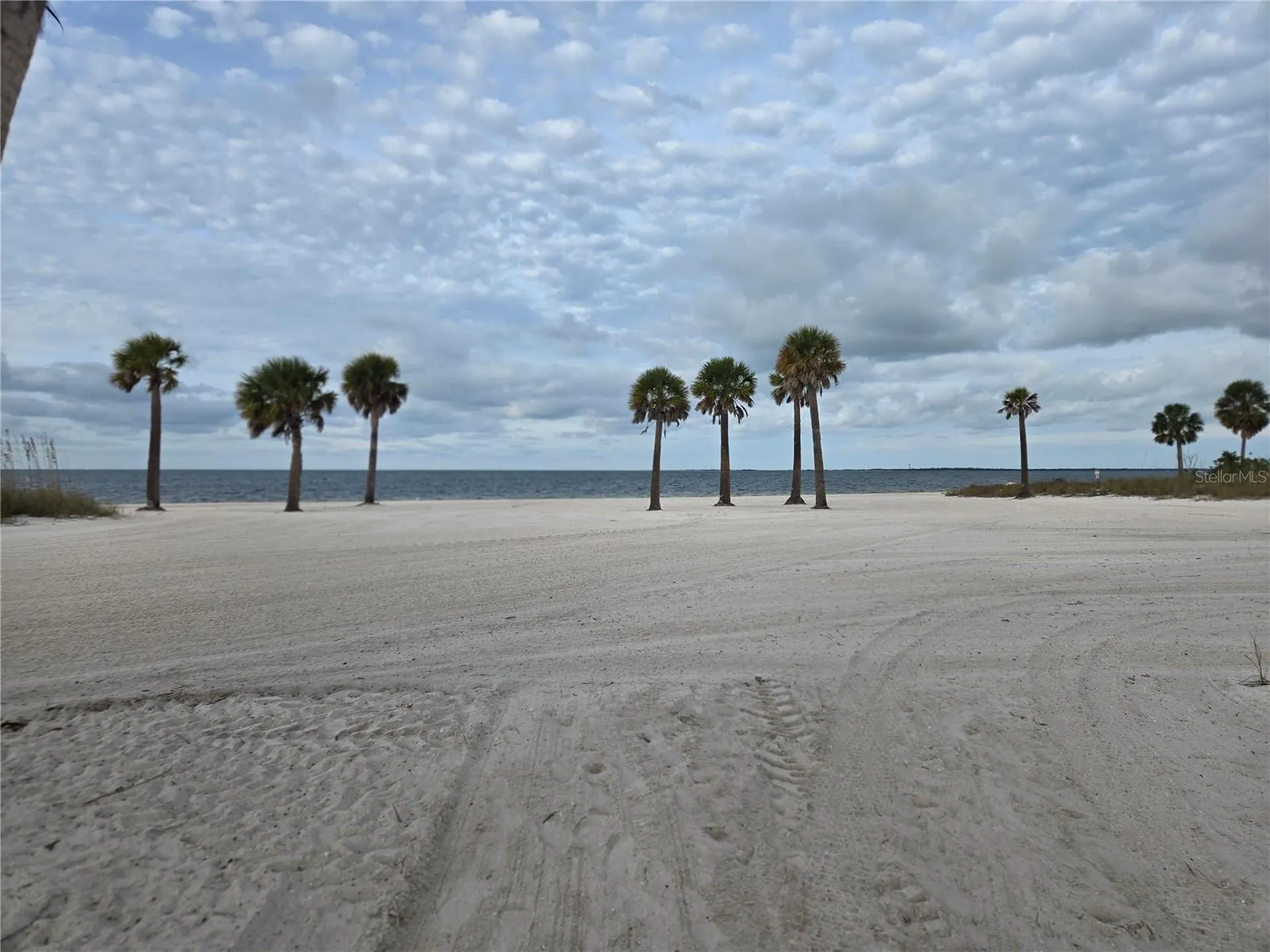 747 Cajeput Loop Tarpon Springs FL 34689