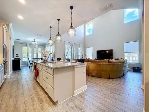 747 Cajeput Loop Tarpon Springs FL 34689