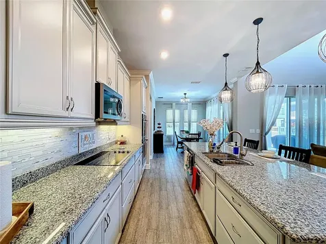747 Cajeput Loop Tarpon Springs FL 34689