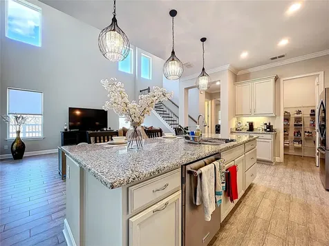 747 Cajeput Loop Tarpon Springs FL 34689