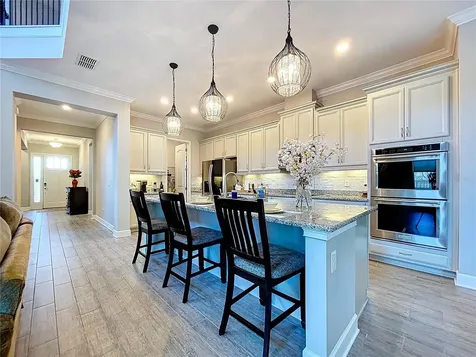 747 Cajeput Loop Tarpon Springs FL 34689
