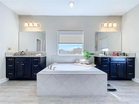 747 Cajeput Loop Tarpon Springs FL 34689