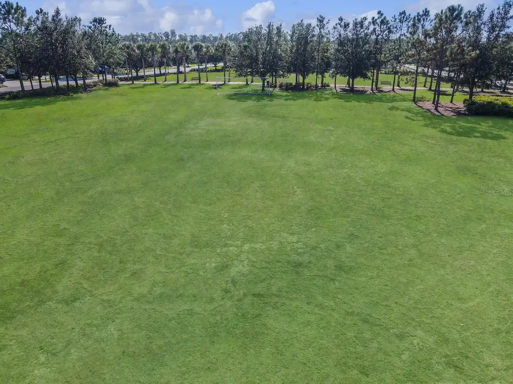 8235 Bird Whistle Lane Land O Lakes FL 34637