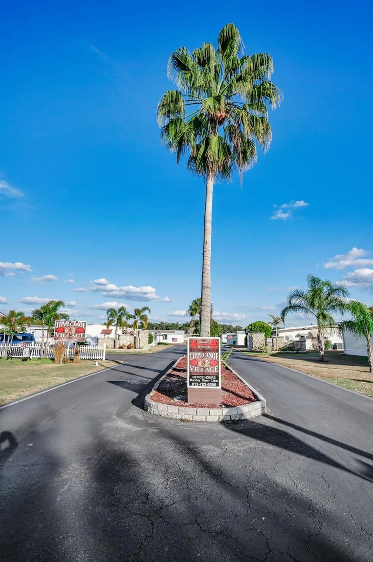 3318 Carnation Lane Zephyrhills FL 33541