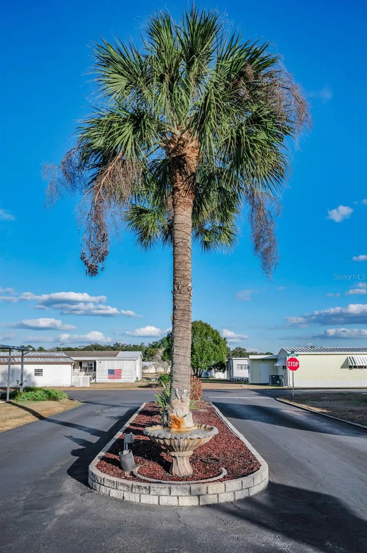3318 Carnation Lane Zephyrhills FL 33541