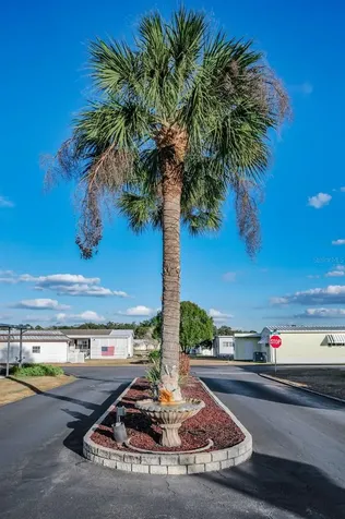3318 Carnation Lane Zephyrhills FL 33541