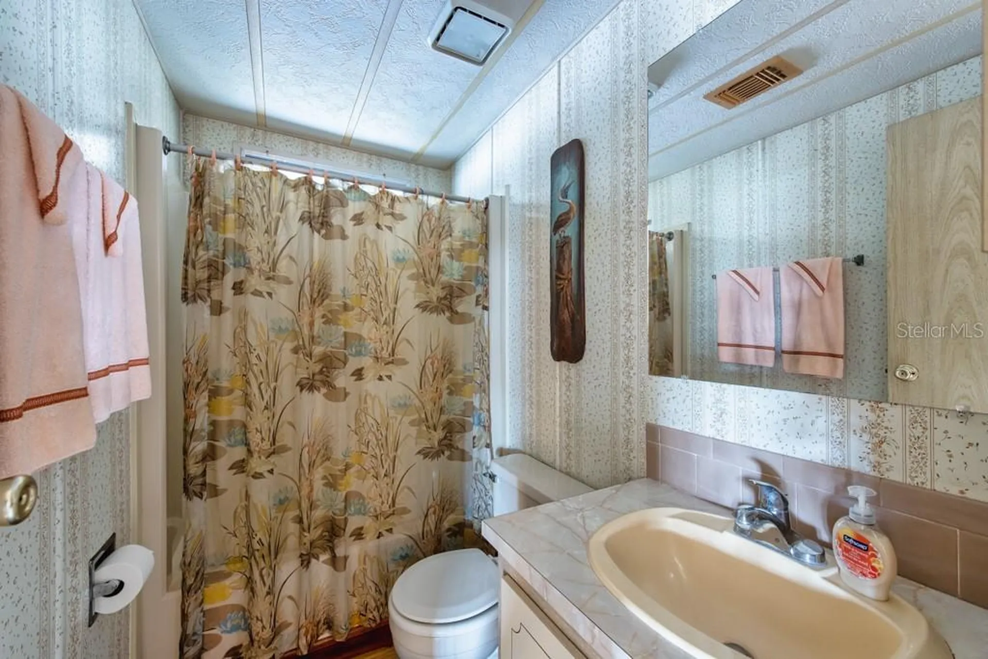 7152 El Torro Street Zephyrhills FL 33541