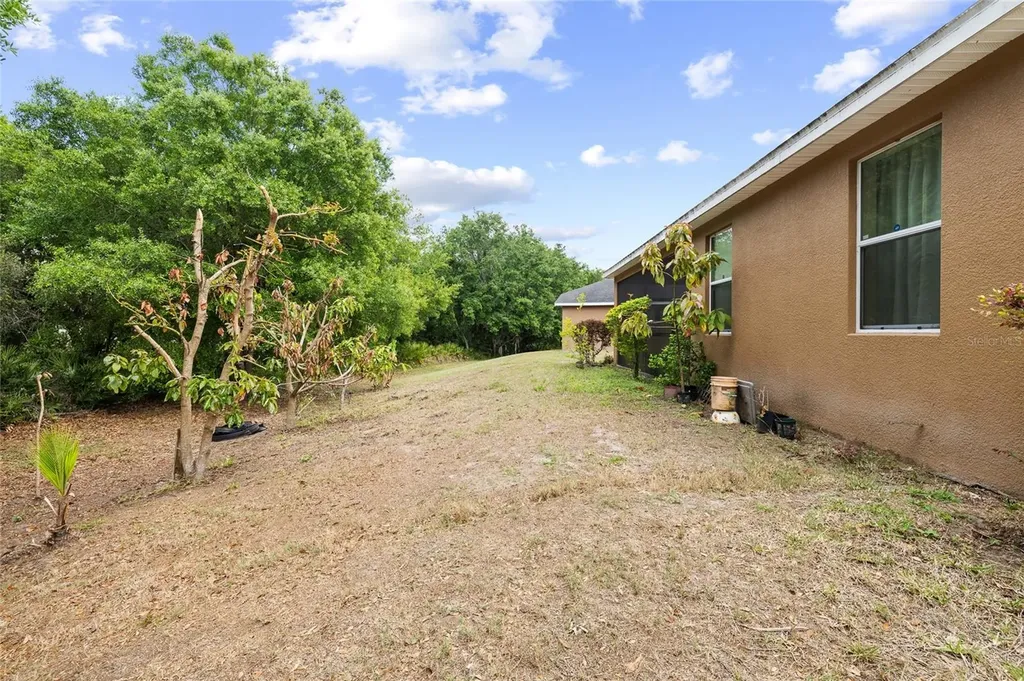 10925 Rockledge View Drive Riverview FL 33579
