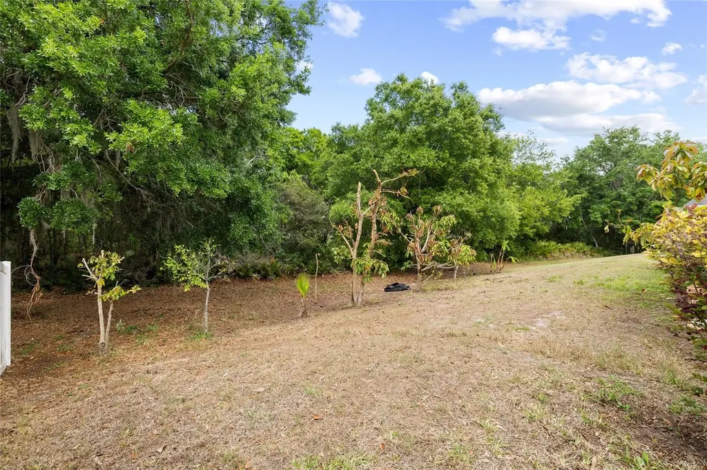 10925 Rockledge View Drive Riverview FL 33579