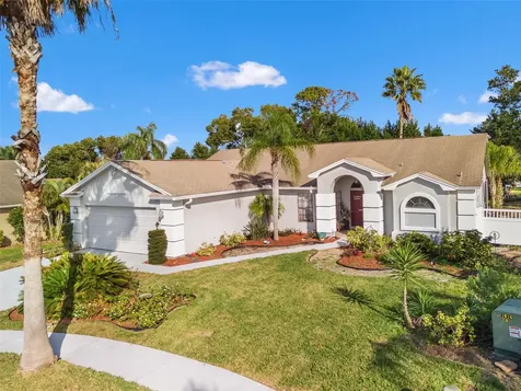 13732 Triumph Court Hudson FL 34667