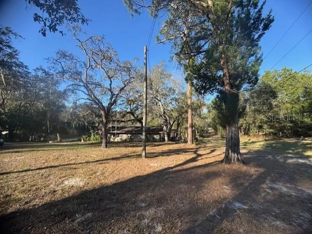 12512 Cr 685 Webster FL 33597