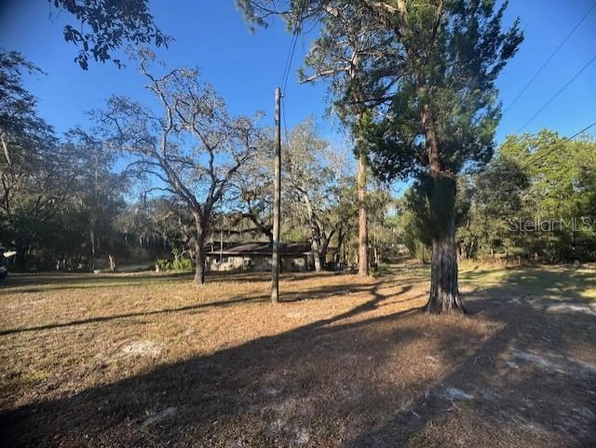 12512 Cr 685 Webster FL 33597