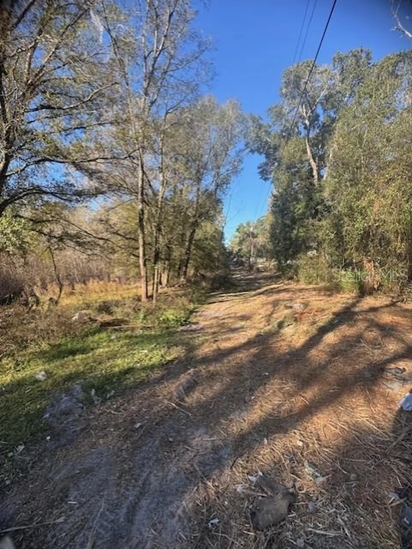 12512 Cr 685 Webster FL 33597