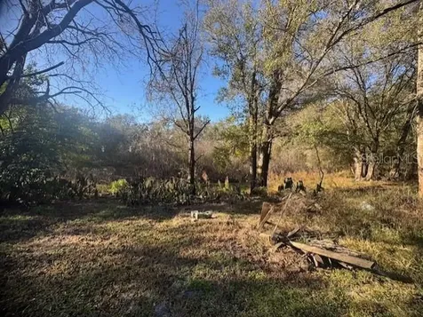 12512 Cr 685 Webster FL 33597