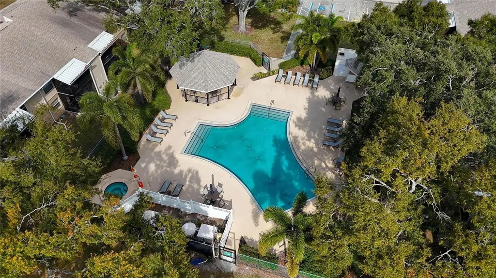 3806 N Oak Drive Tampa FL 33611
