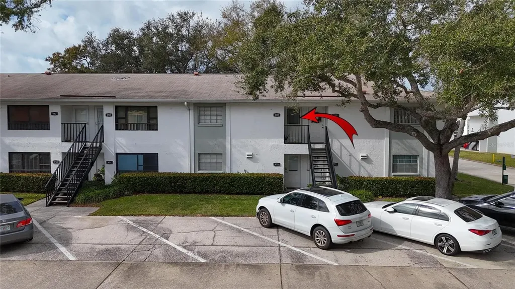 3806 N Oak Drive Tampa FL 33611
