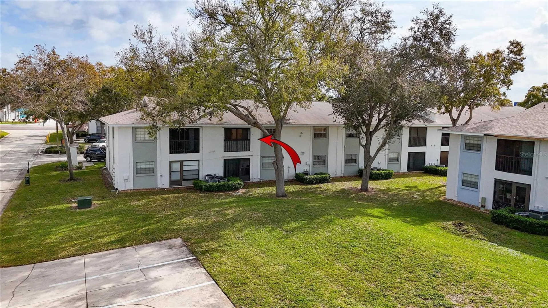 3806 N Oak Drive Tampa FL 33611