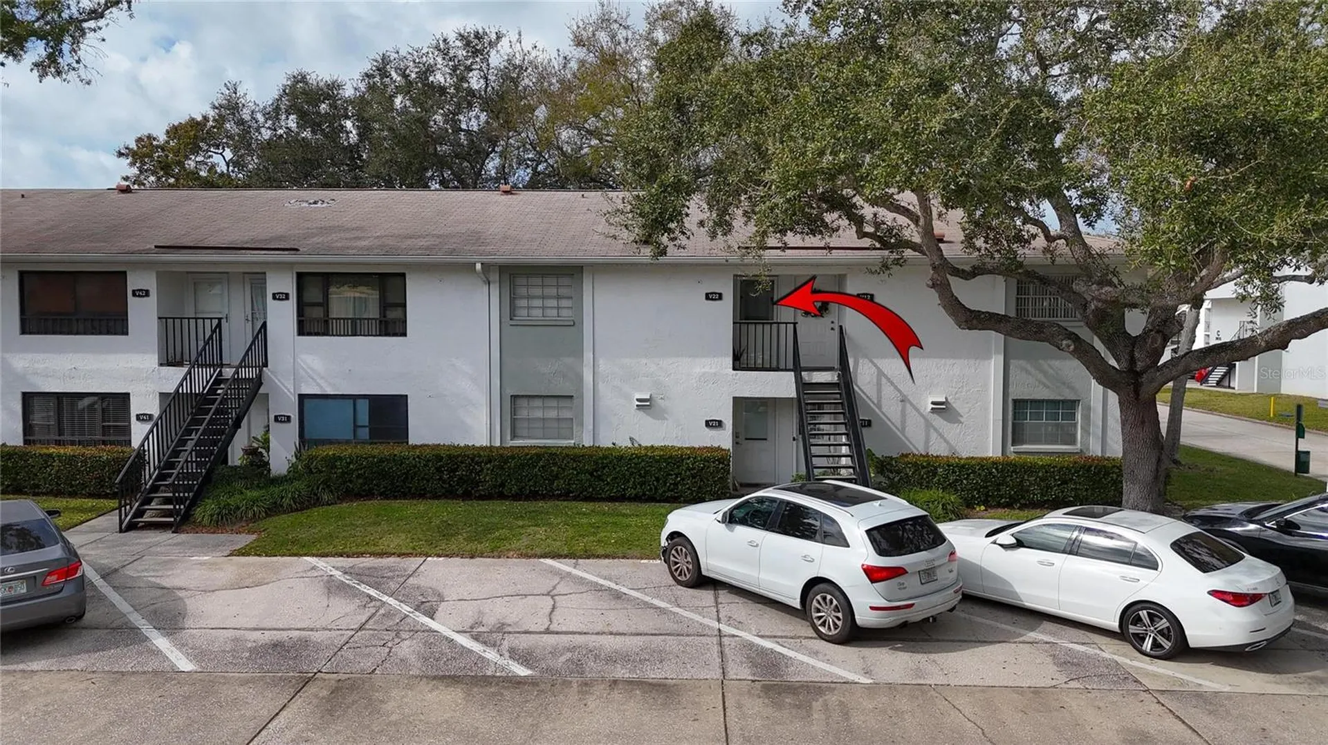 3806 N Oak Drive Tampa FL 33611
