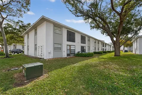 3806 N Oak Drive Tampa FL 33611