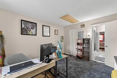 3806 N Oak Drive Tampa FL 33611